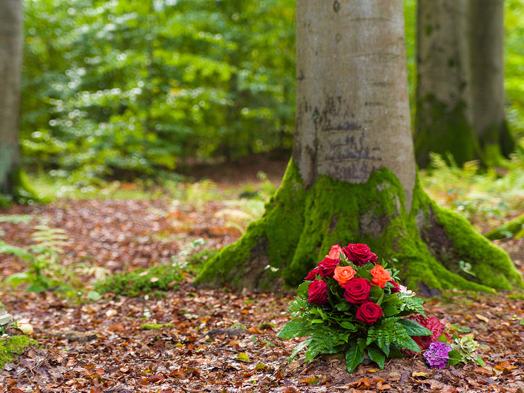 Waldbestattung bei End und Blank Bestattungen